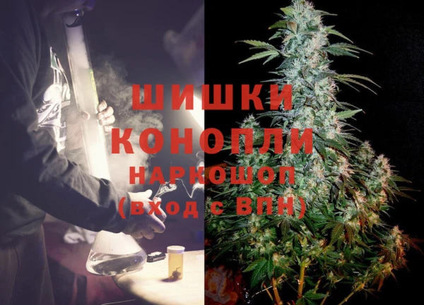индика Богородск
