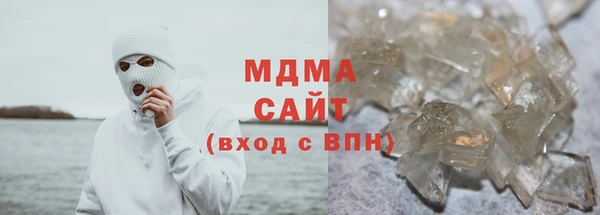 индика Богородск