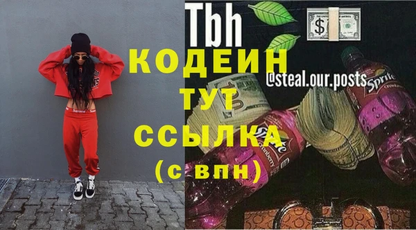 индика Богородск