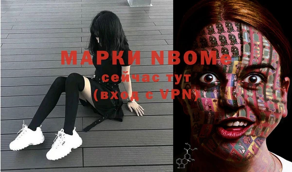 индика Богородск