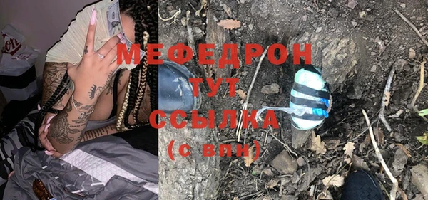 индика Богородск
