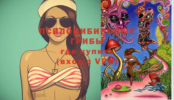 ешки Инта
