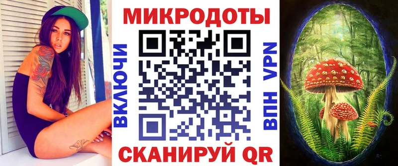 Псилоцибиновые грибы прущие грибы  Старица 